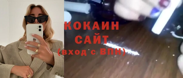 прущие грибы Баксан