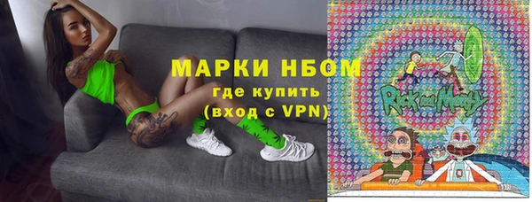 прущие грибы Баксан
