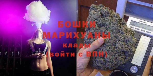 прущие грибы Баксан