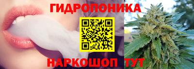 прущие грибы Жуковский