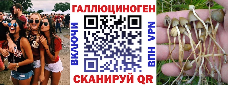 что такое наркотик  мега маркетплейс  Галлюциногенные грибы мицелий  Черняховск 