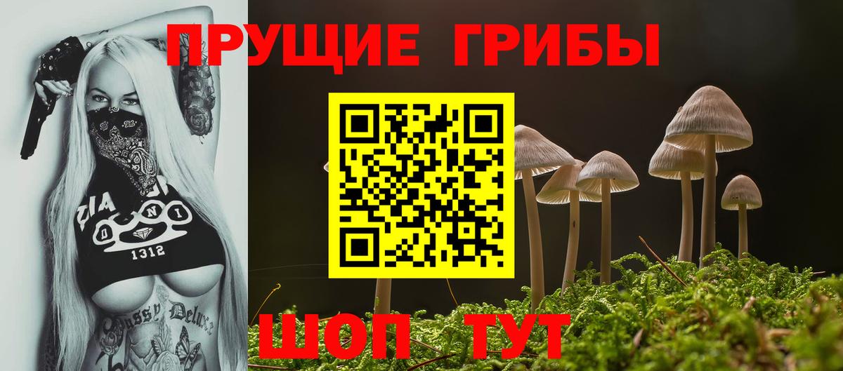 Черняховск  Галлюциногенные грибы прущие грибы  Вход с VPN 