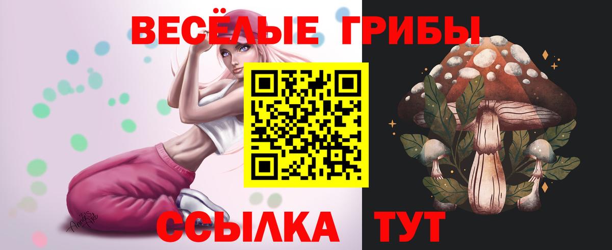 Галлюциногенные грибы MAGIC MUSHROOMS Черняховск